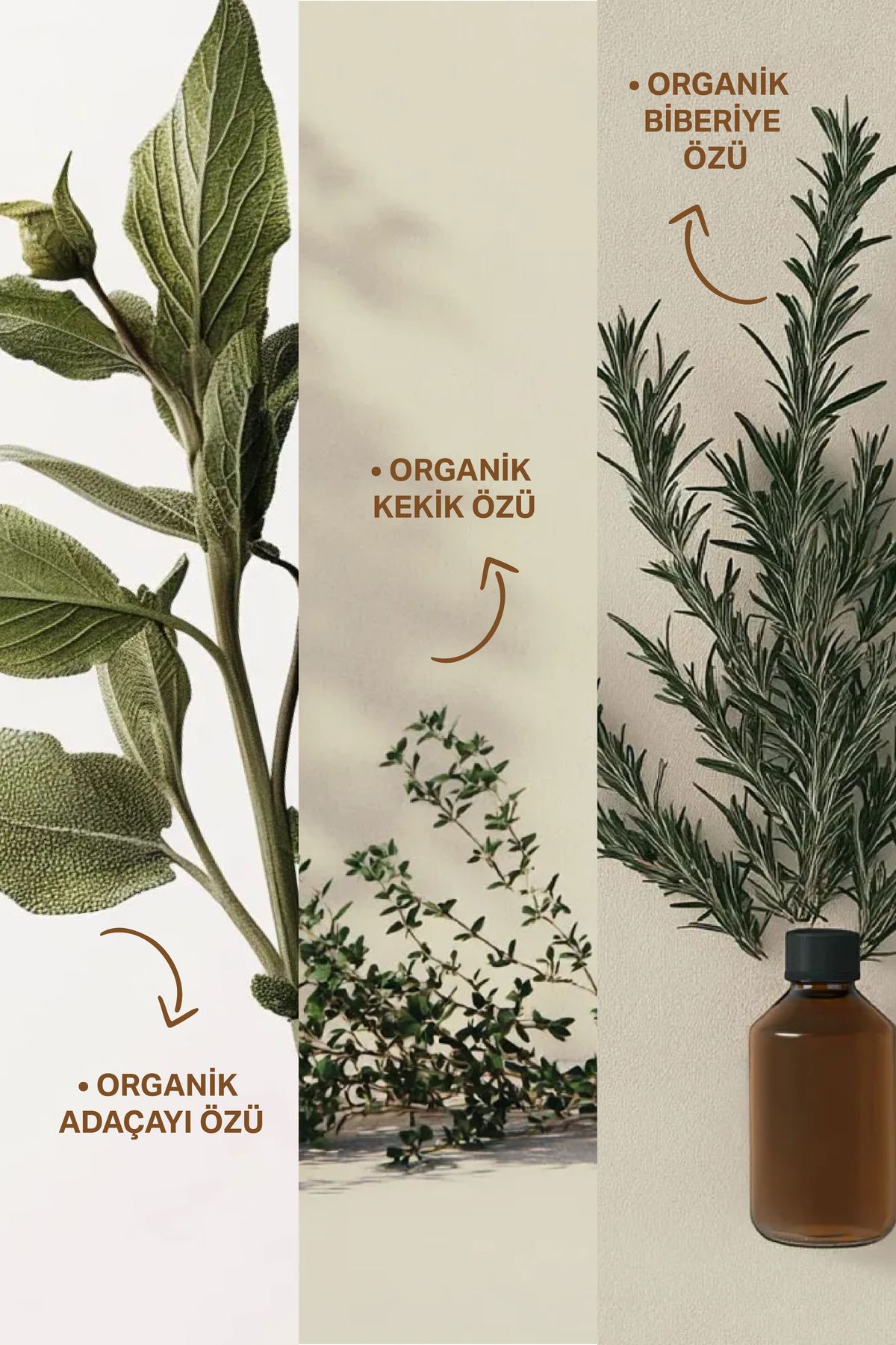 Insight-Purifying Shampoo for Dandruff 350 ml. 4