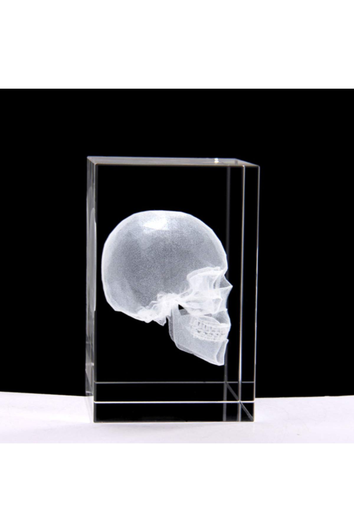 Çnrline 3D Kristal Kafatası Modeli