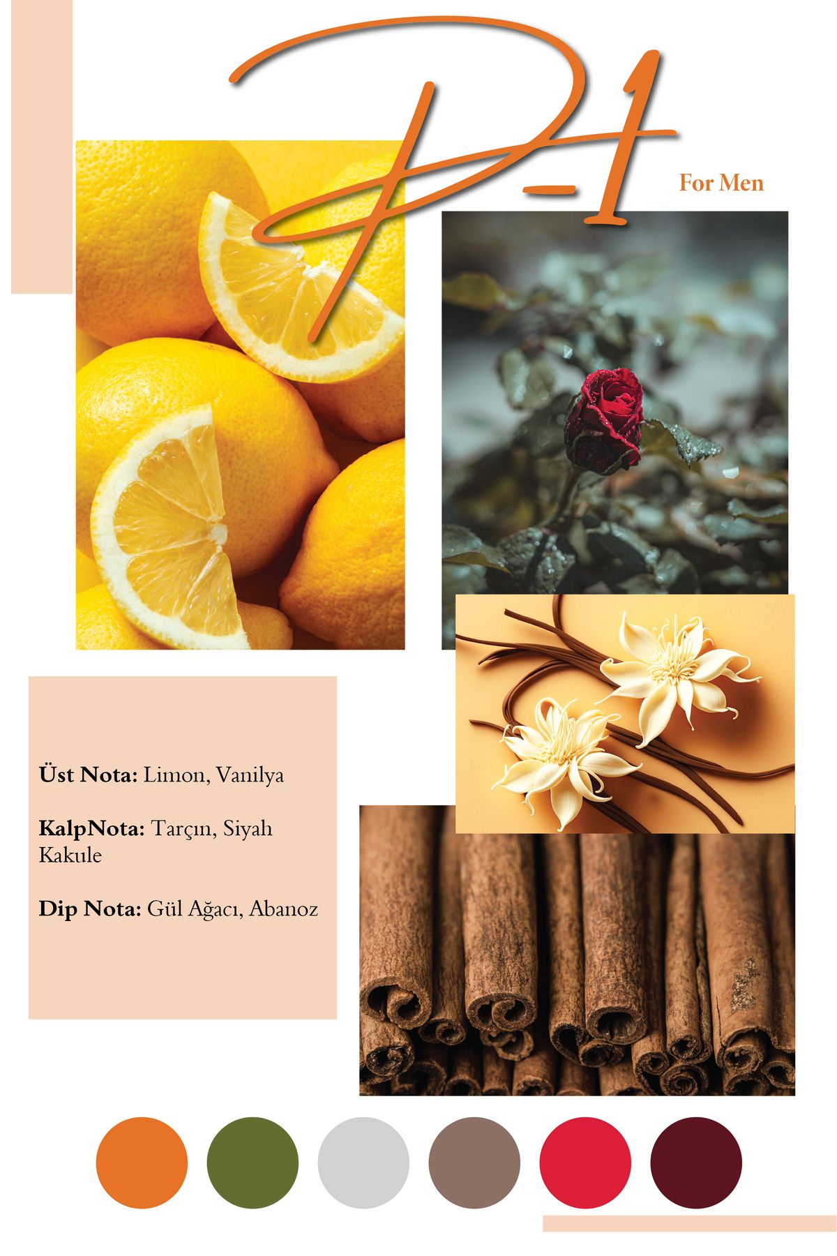 عطر مردانه P 50 میل Frederic Patric