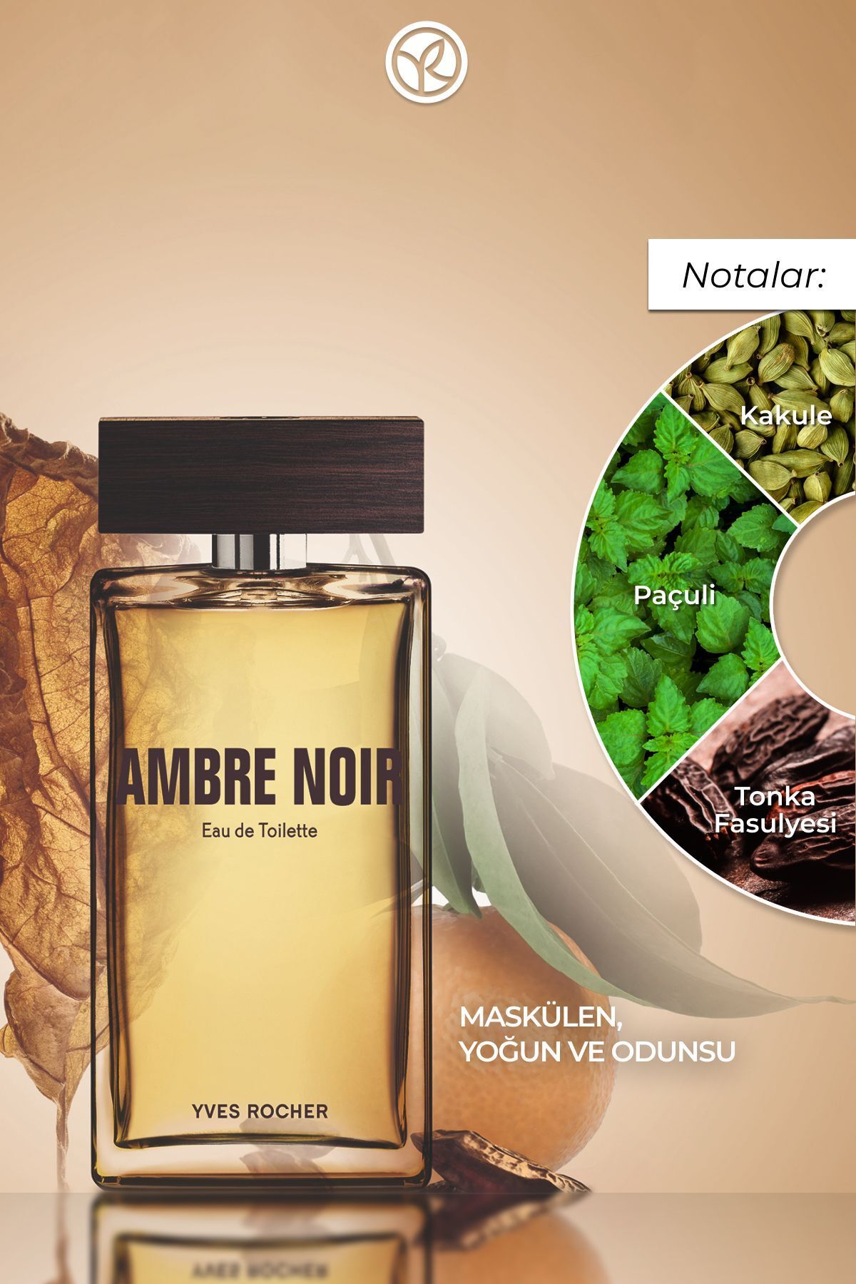 Yves Rocher-Ambre Noir Men's Edt-100 ml 2