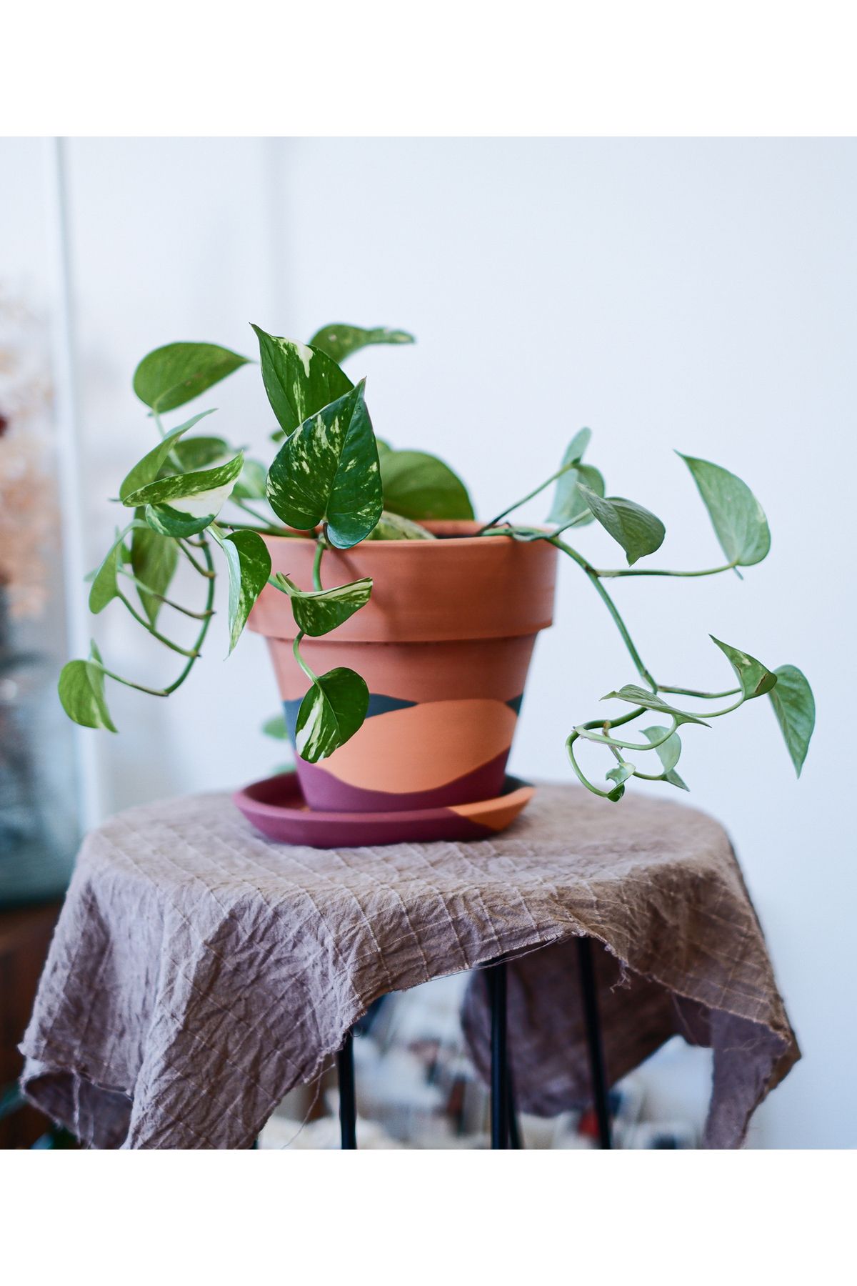 zef design store Terracotta Konik Saksı+Tabak • Waves •5 Farklı Seçenekle (Küçük•Orta•Büyük•2li Set•3lü Set)