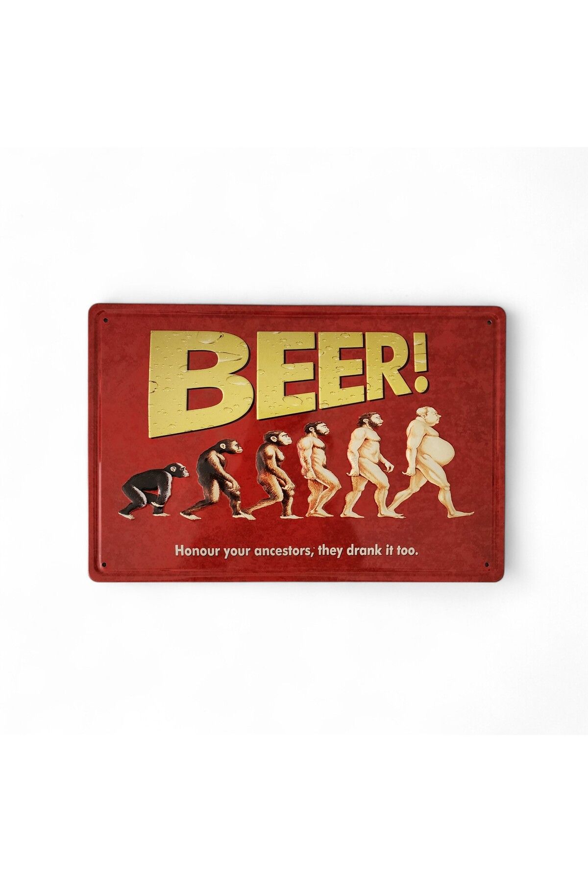 Hedea Metal Dekor Levha Evolution Of Beer