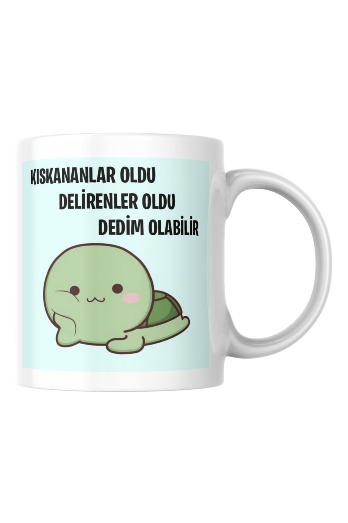 TakeTshirt Kıskananlar Oldu Komik Yazılı Kupa Bardak Hediyelik Çay Kahve Kupası Coffee Mug