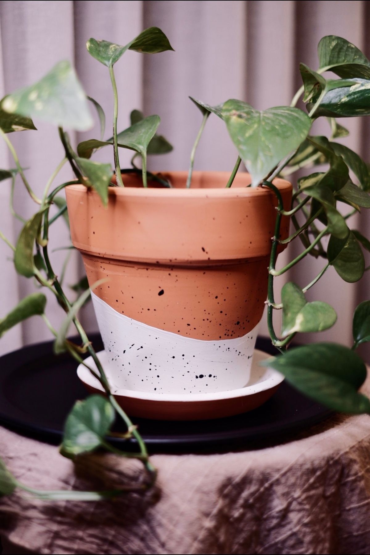zef design store Terracotta Konik Saksı+Tabak•Siyah-Beyaz Benekli•5 Farklı Seçenek (Küçük•Orta•Büyük•2li Set•3lü Set)