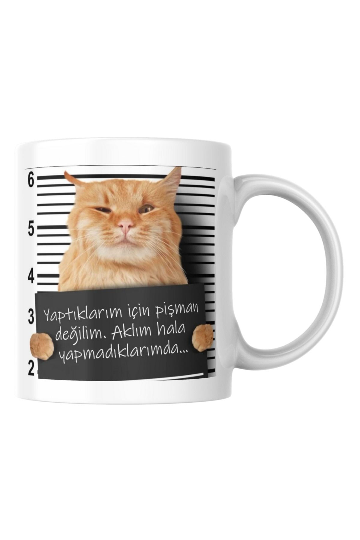 TakeTshirt Pişman Değilim Komik Yazılı Kupa Bardak Hediyelik Çay Kahve Kupası Coffee Mug