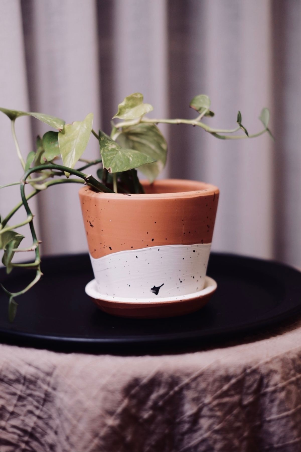 zef design store Terracotta Savana Saksı+Tabak•Siyah Beyaz Benekli•5 Farklı Seçenek(Küçük•Orta•Büyük•2li Set•3lü Set)