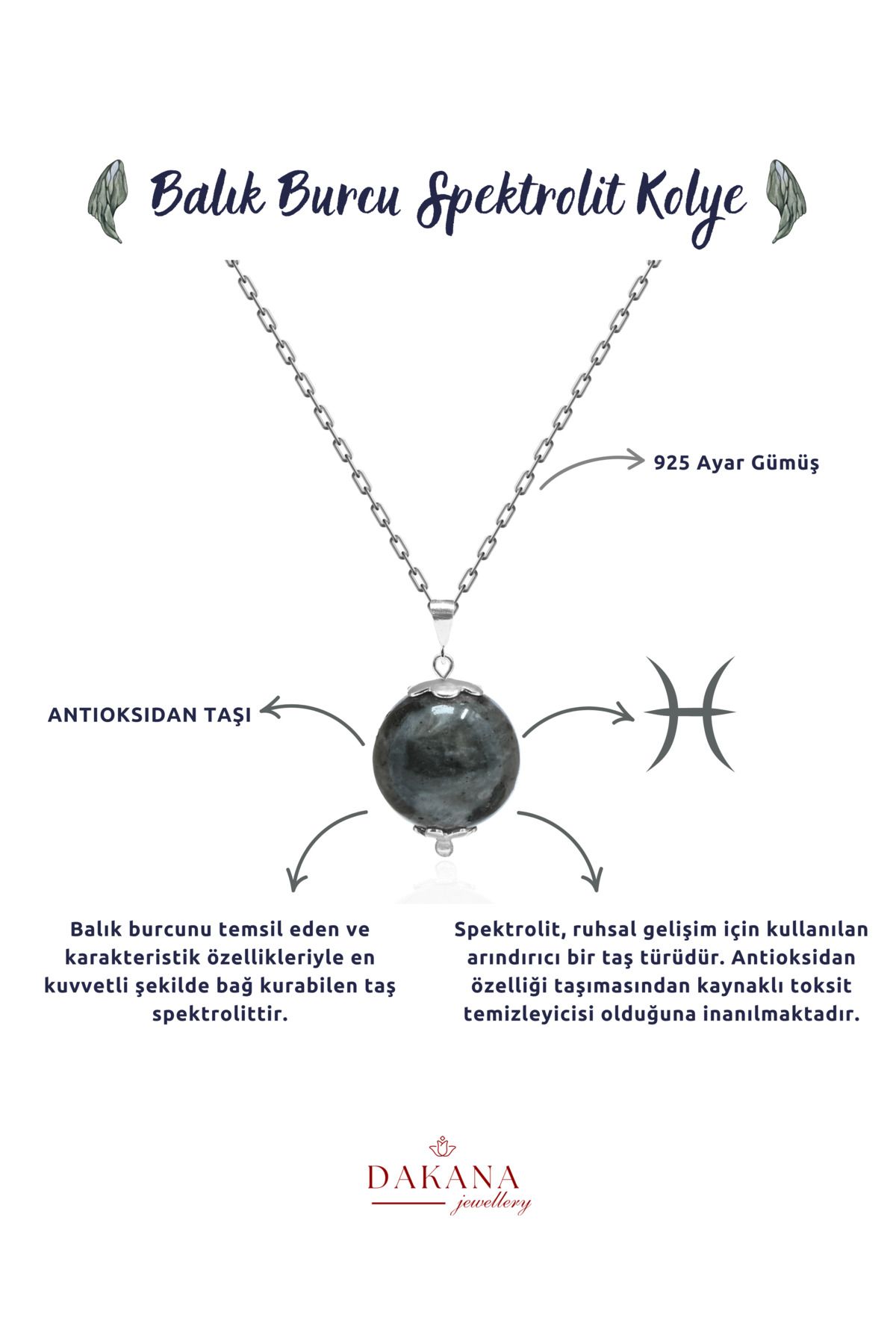 DAKANA JEWELLERY Sertifikalı Spektrolit Doğal Taş Balık Burcu Gümüş Kolye
