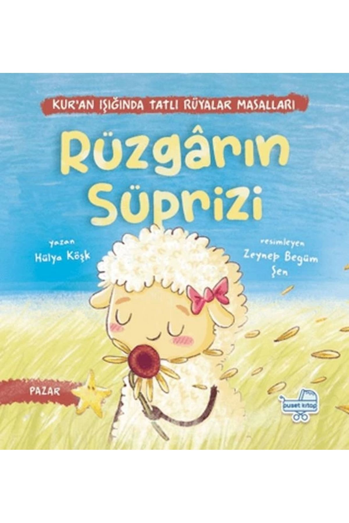 Puset Kitap Rüzgarın Sürprizi