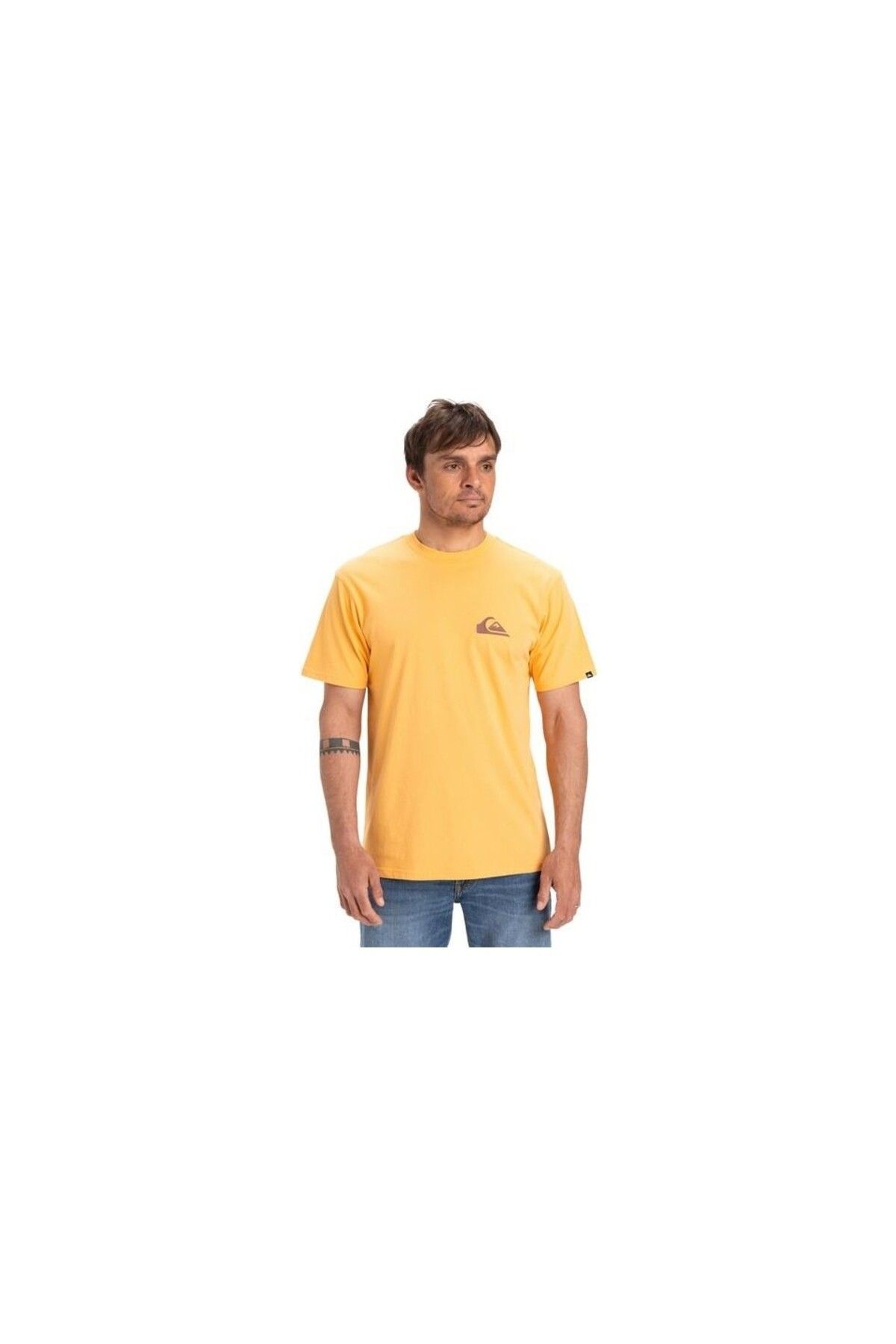 Quiksilver QUİKSİLVER EQYZT08042 EV MINI LOGO SS
