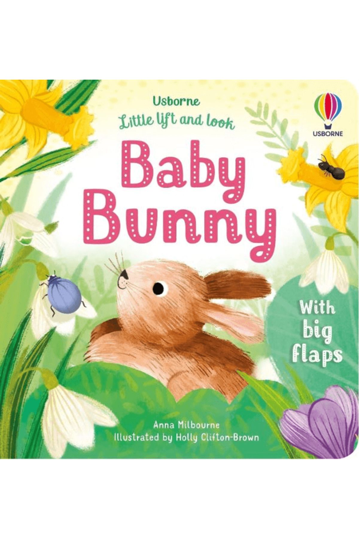 Usborne Little Lift and Look Baby Bunny / Anna Milbourne / Usborne / 9781803701653