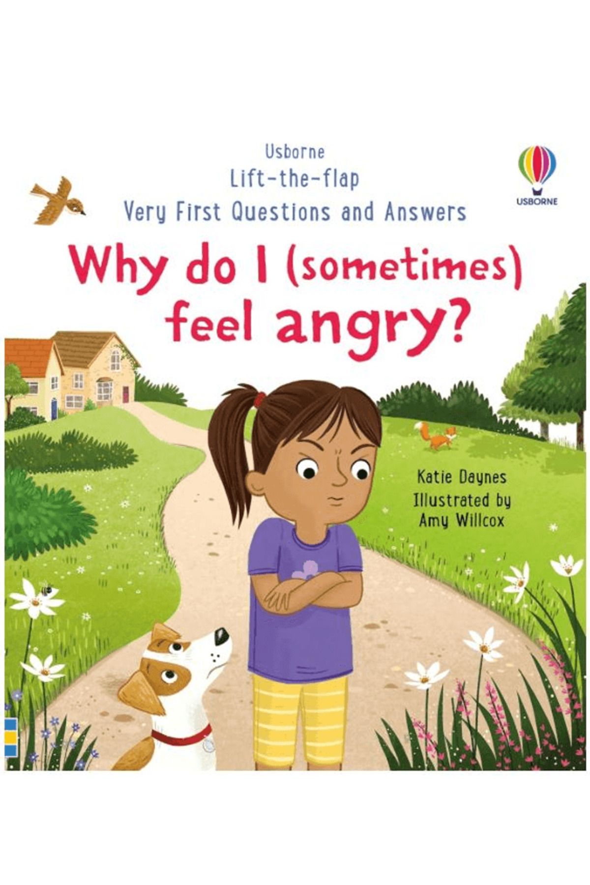 Usborne Very First Questions and Answers: Why do I (sometimes) feel angry? / Usborne / 9781801313155