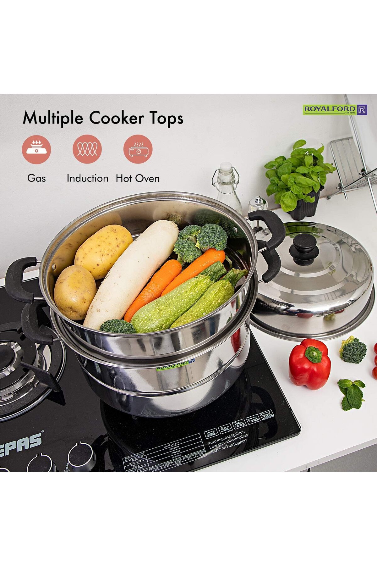 Steam Cooking Apparatus 🍲 40-80% off! | Elevate Your Culinary