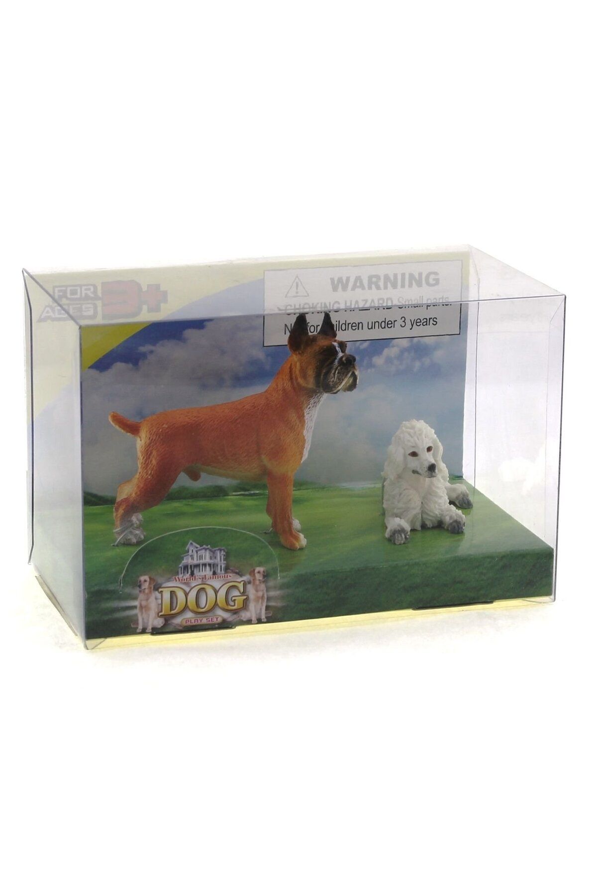 swilex er ve Kaniş Model Hayvan Köpek