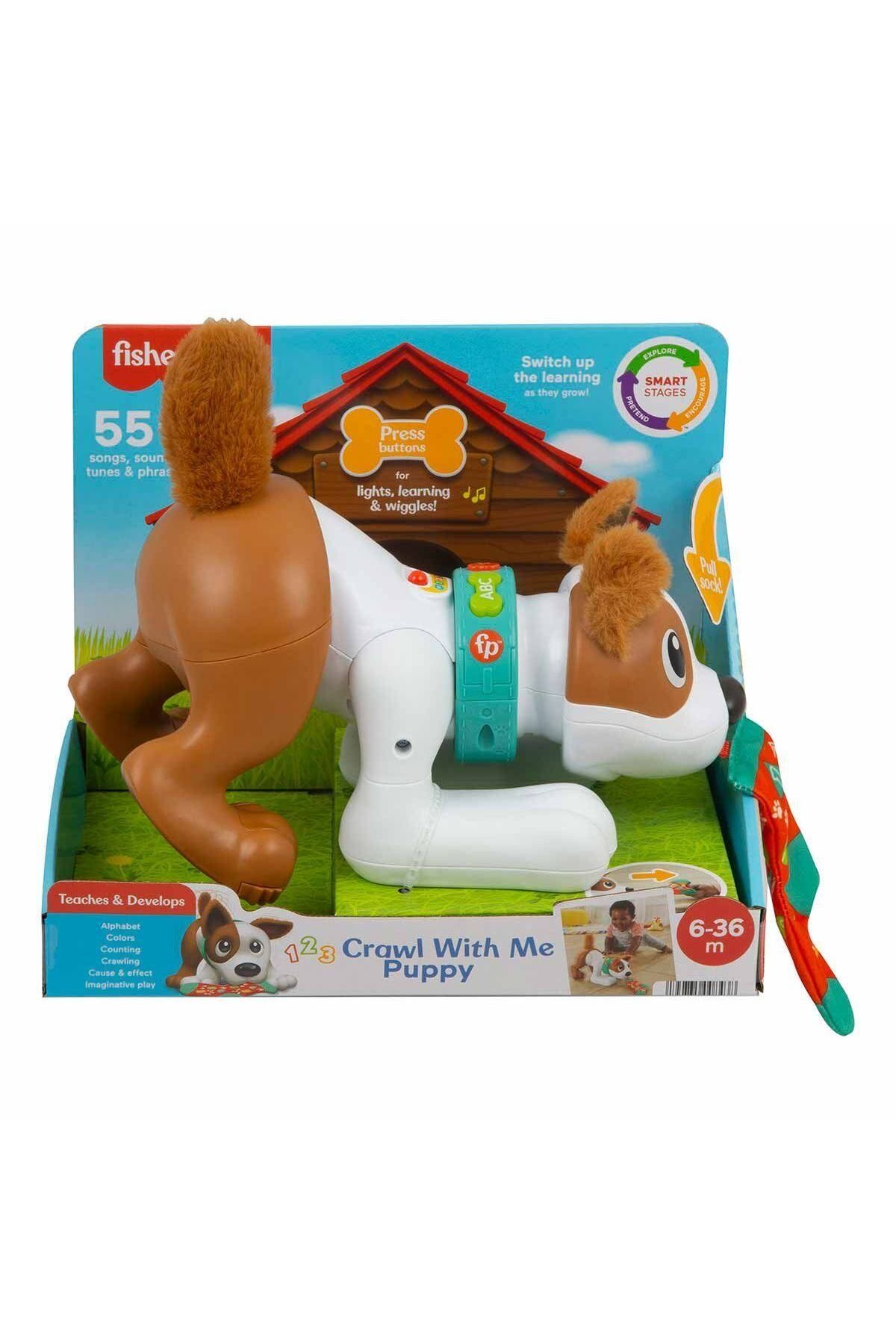 swilex HHH13 , Emeklemeyi ve Saymayı Öğreten Köpekçik