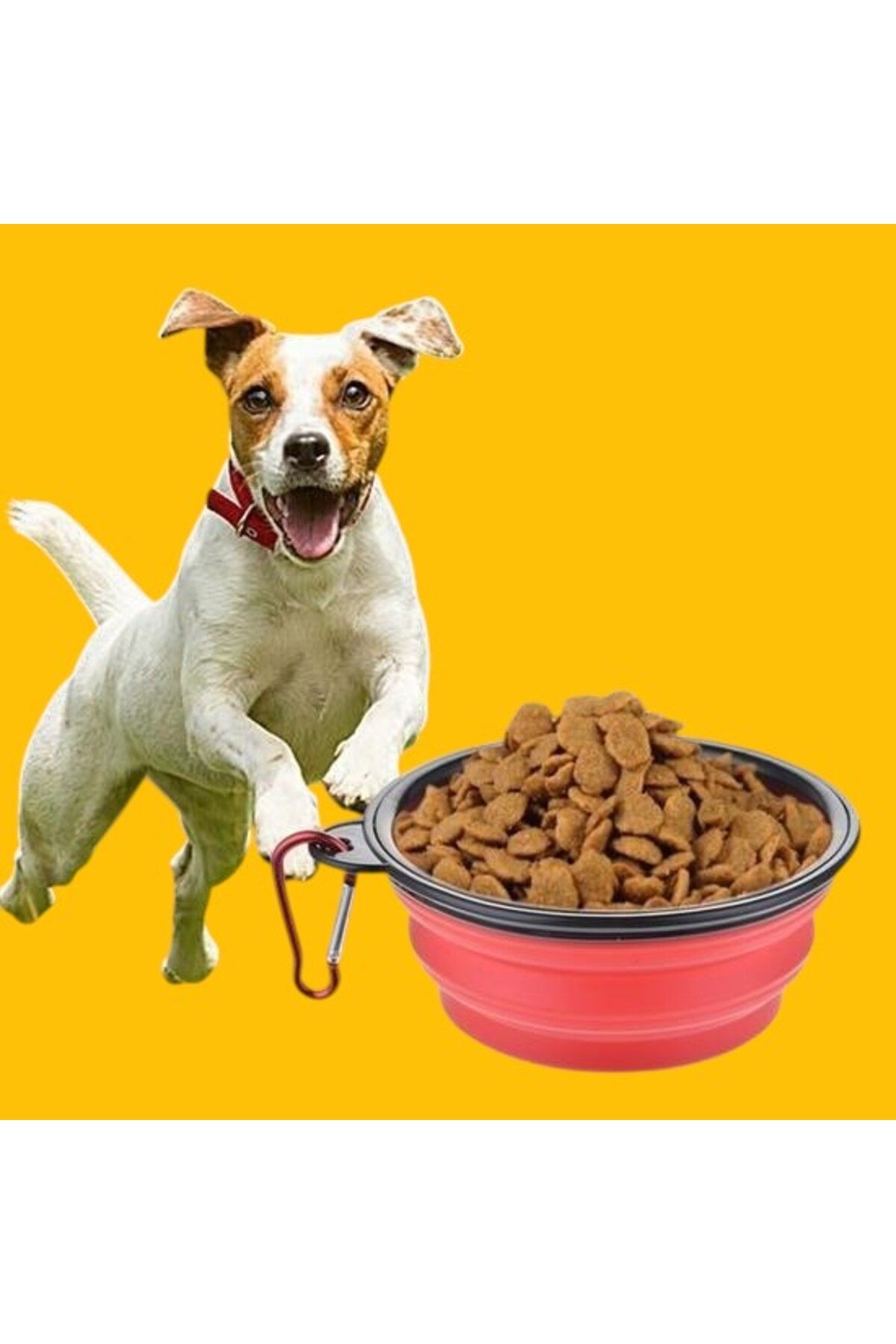 PratikAI Katlanabilir Kedi-Köpek Mama ve Su Kabı | Taşınabilir & Çevre Dostu