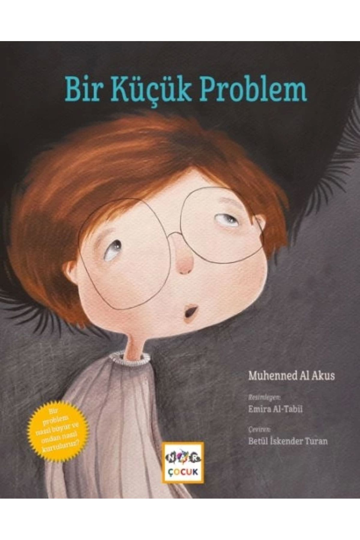 Nar Yayınları Bir Küçük Problem