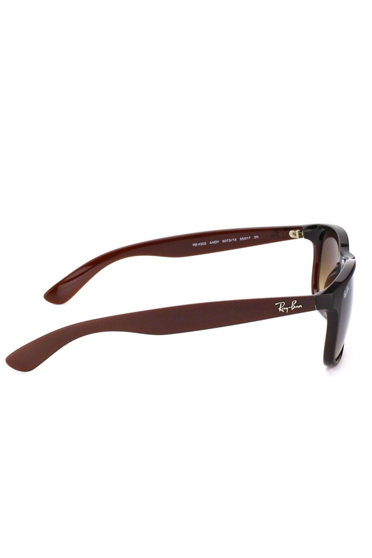 Ray-Ban RB4202 607313 55-17-145 Erkek Güneş Gözlüğü
