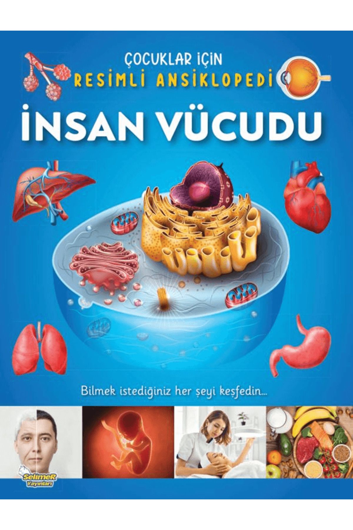 Yumurcak Yayınları İnsan Vücudu / Çocuklar İçin Resimli Ansiklopedi / Kolektif / Yumurcak Yayınları / 9786256044128