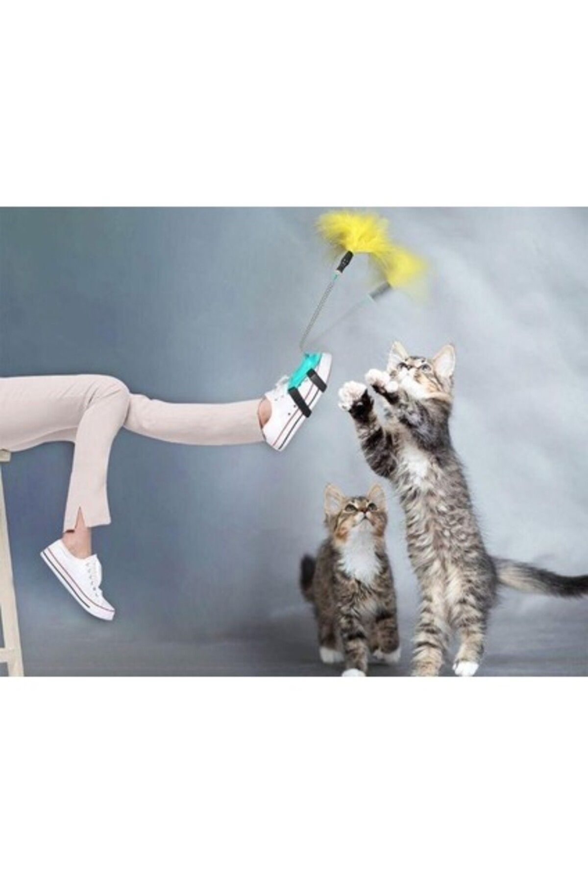 Orqinel Has Kedi Oyuncagı Ayak Oltası