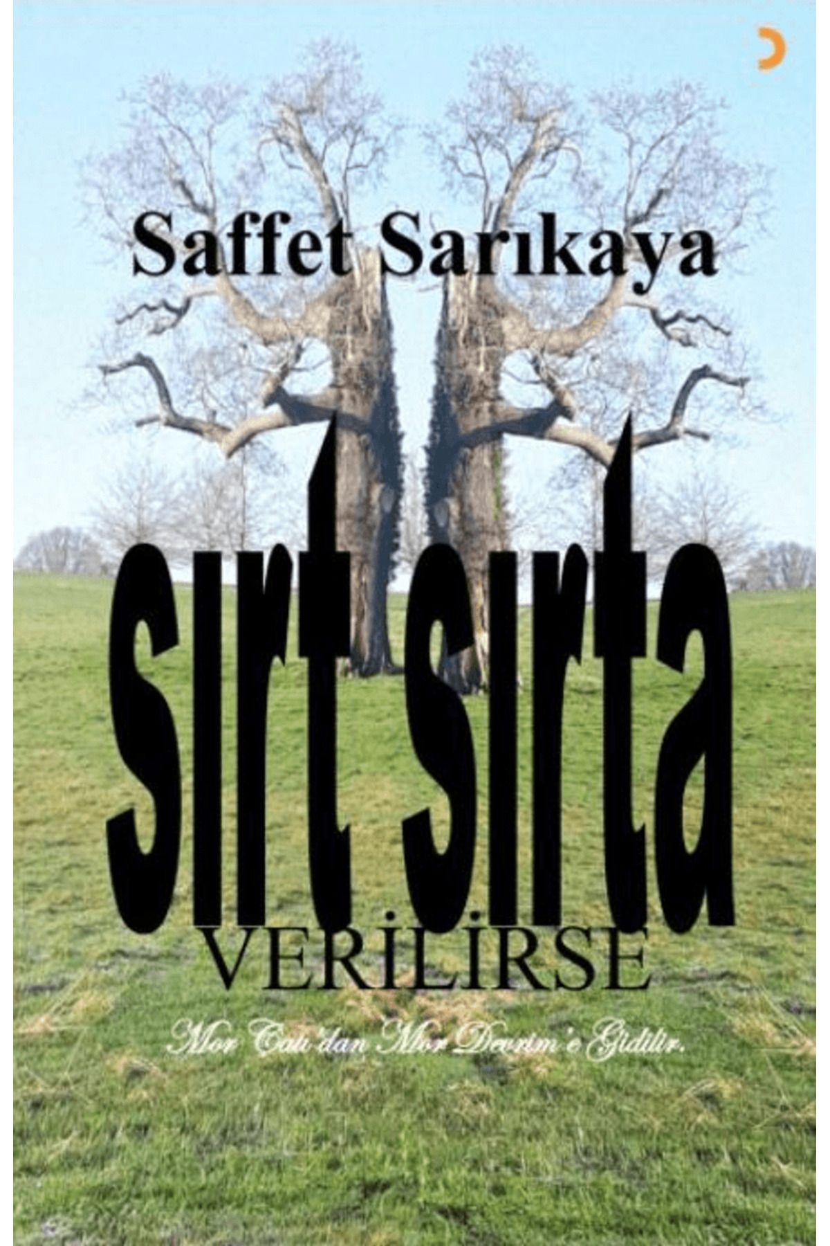 Cinius Yayınları Sırt Sırta Verilirse / Saffet Sarıkaya / Cinius Yayınları / 9786258105223