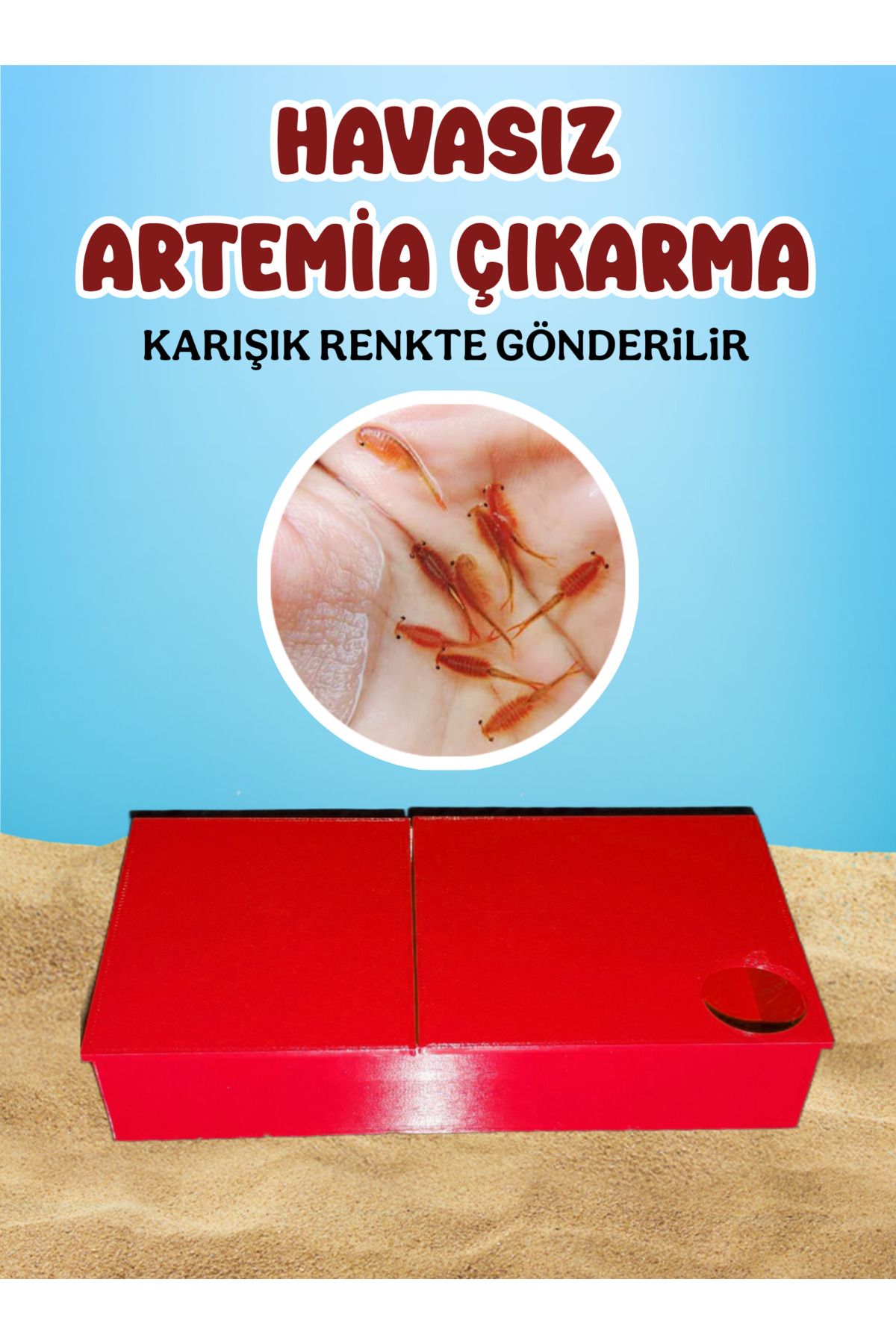 Akvaryum Havasız Artemia Çıkarma Kabı Lepistes, Melek Balığı, Discus, Neon Tetra, Zebra Danio Vb Türler İçin