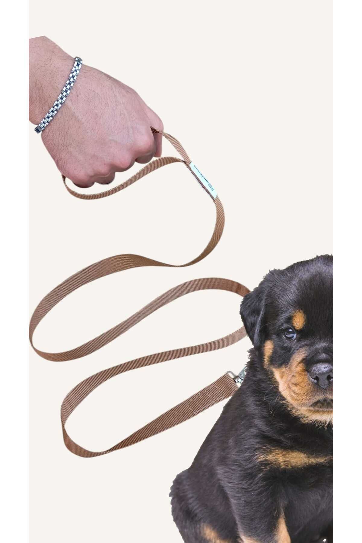 LUCKY 150 cm, Köpek Gezdirme İpi, Köpek Gezdirme Kayışı ,Mr. Lucky Pets
