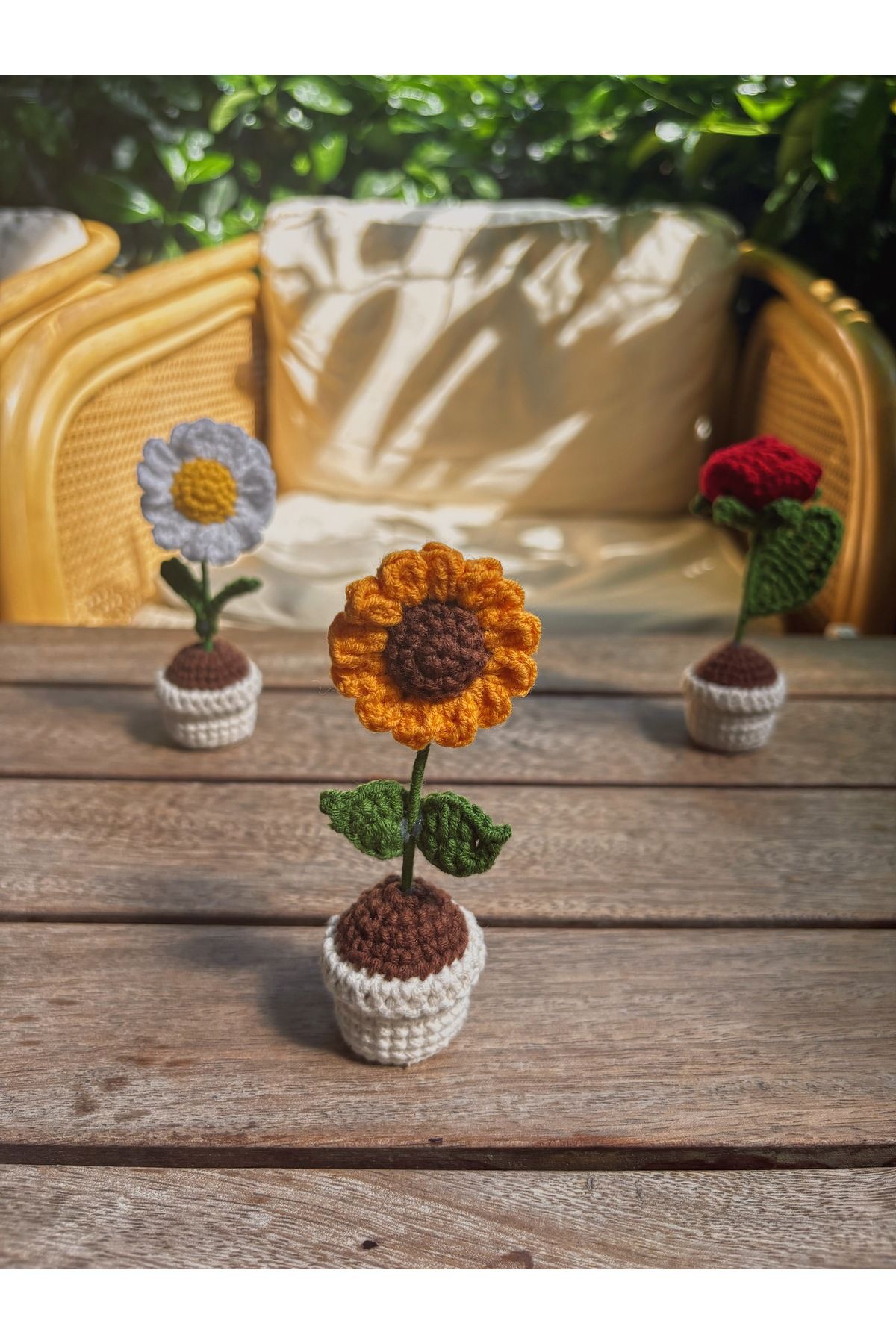 Sustaina Craft El Yapımı Mini Saksı Çiçek – Masa Süsü Papatya, Gül, Ayçiçeği