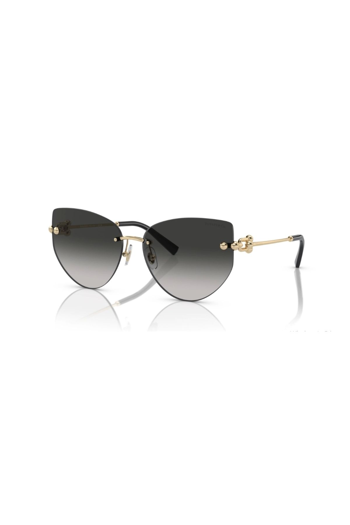 Tiffany and Co TIFFANY&CO 3096 60213C 60