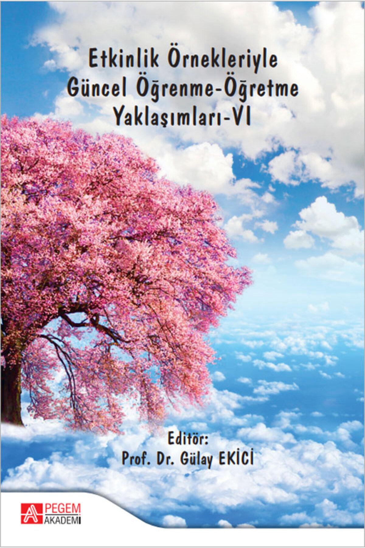 Pegem Akademi Yayıncılık Etkinlik Örnekleriyle Güncel Öğrenme-Öğretme Yaklaşımları-VI Pegem Yayınları