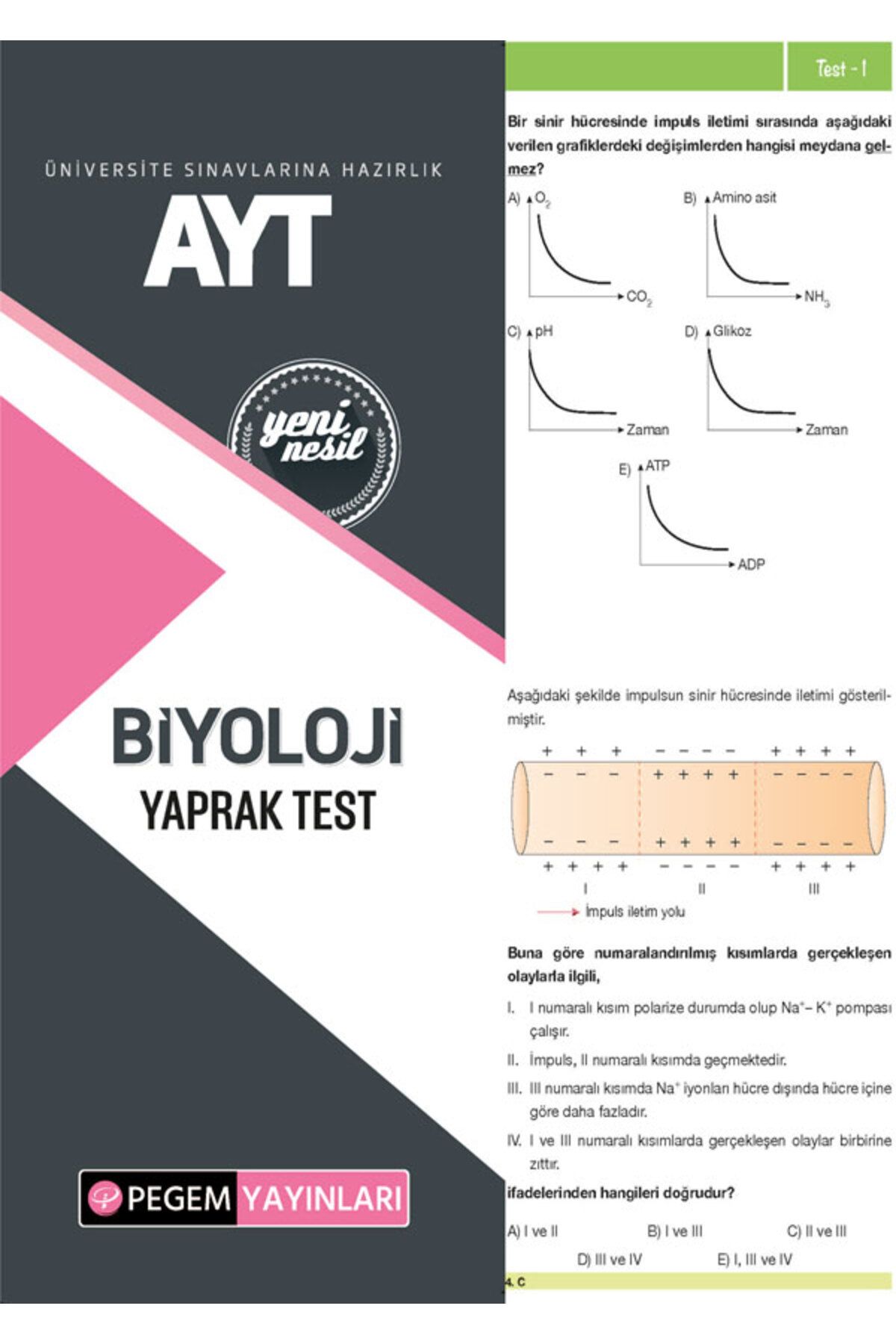 Pegem Akademi Yayıncılık AYT Biyoloji Yaprak Test Pegem Yayınları