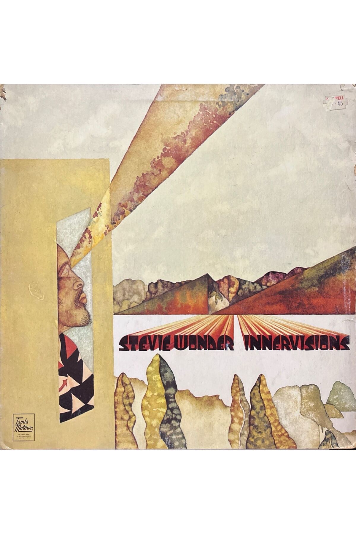 Plak İstasyonu Stevie Wonder Innervisions LP Plak