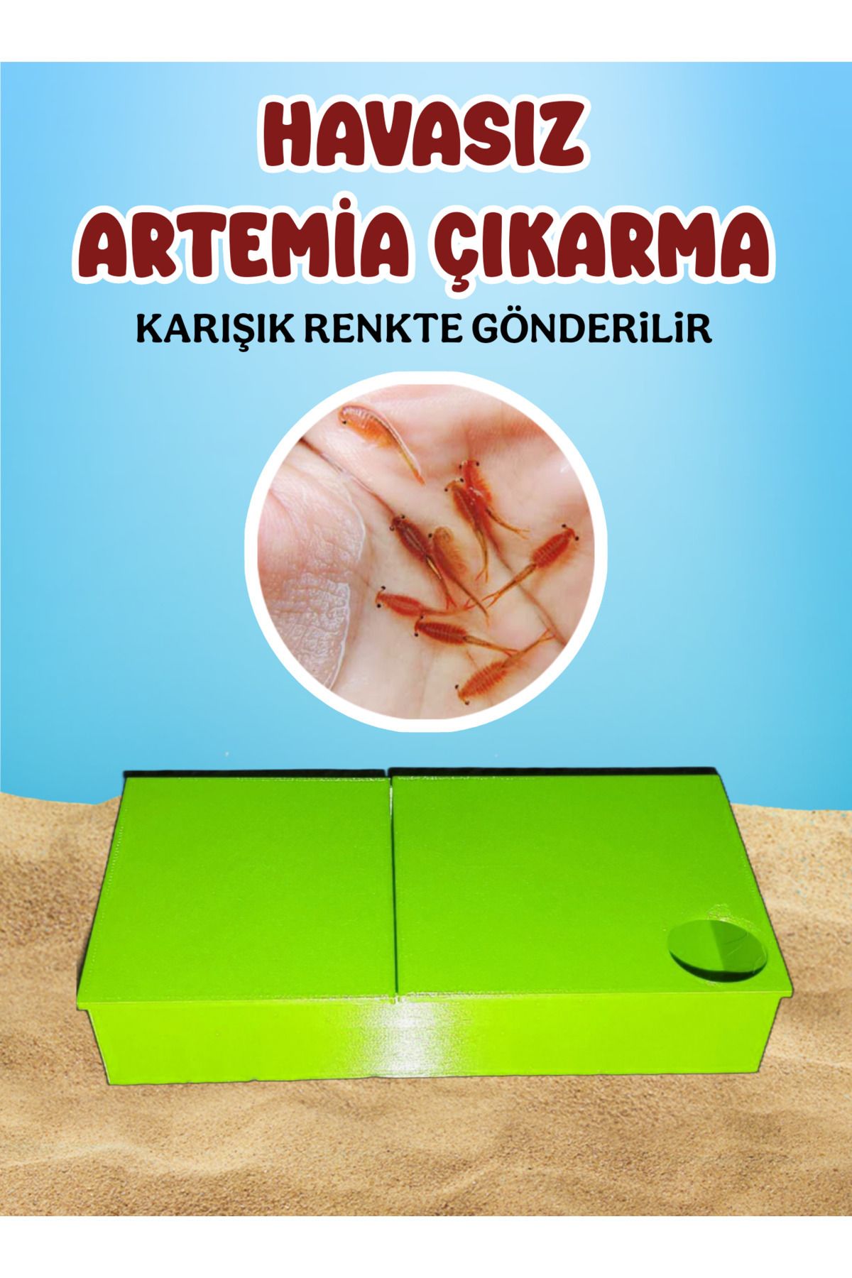 MDİZMİR Havasız Artemia Çıkarma Kabı Lepistes, Melek Balığı, Discus, Neon Tetra, Zebra Danio vb Türler için