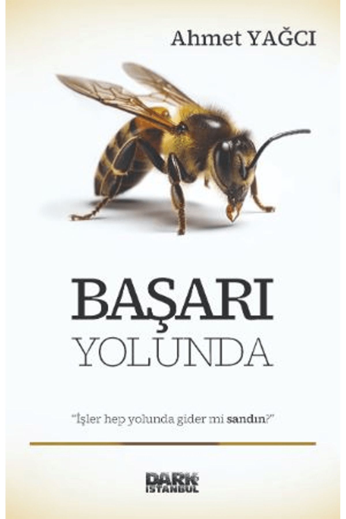 Dark İstanbul Başarı Yolunda / Ahmet Yağcı / Dark İstanbul / 9786259444697