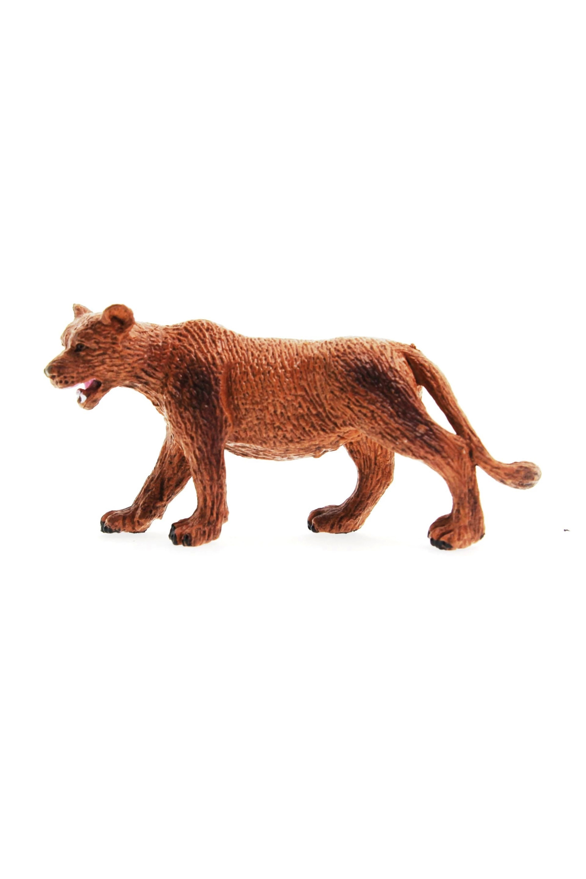 مجسمه مدل شیر ماده