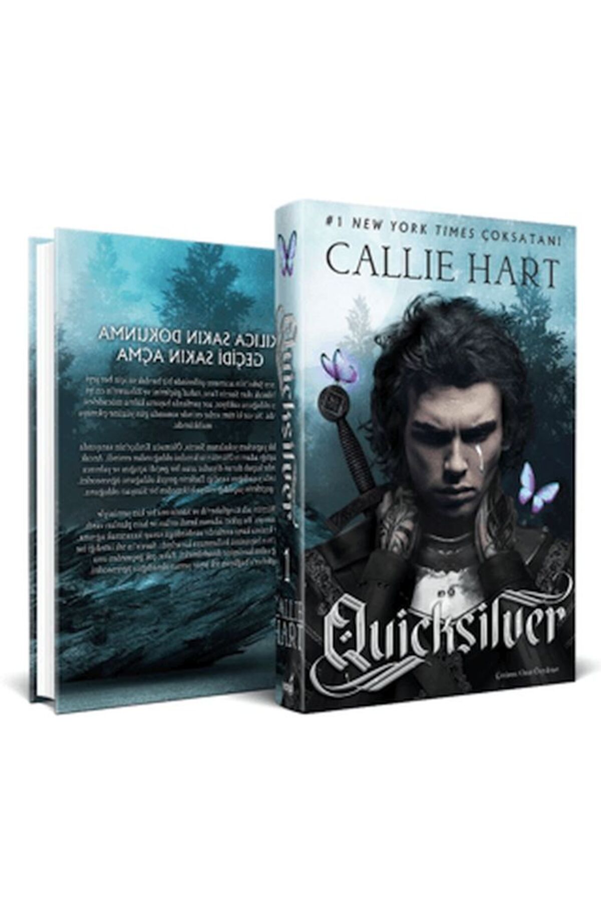 Nan Kitap Ouicksilver (Ciltli)