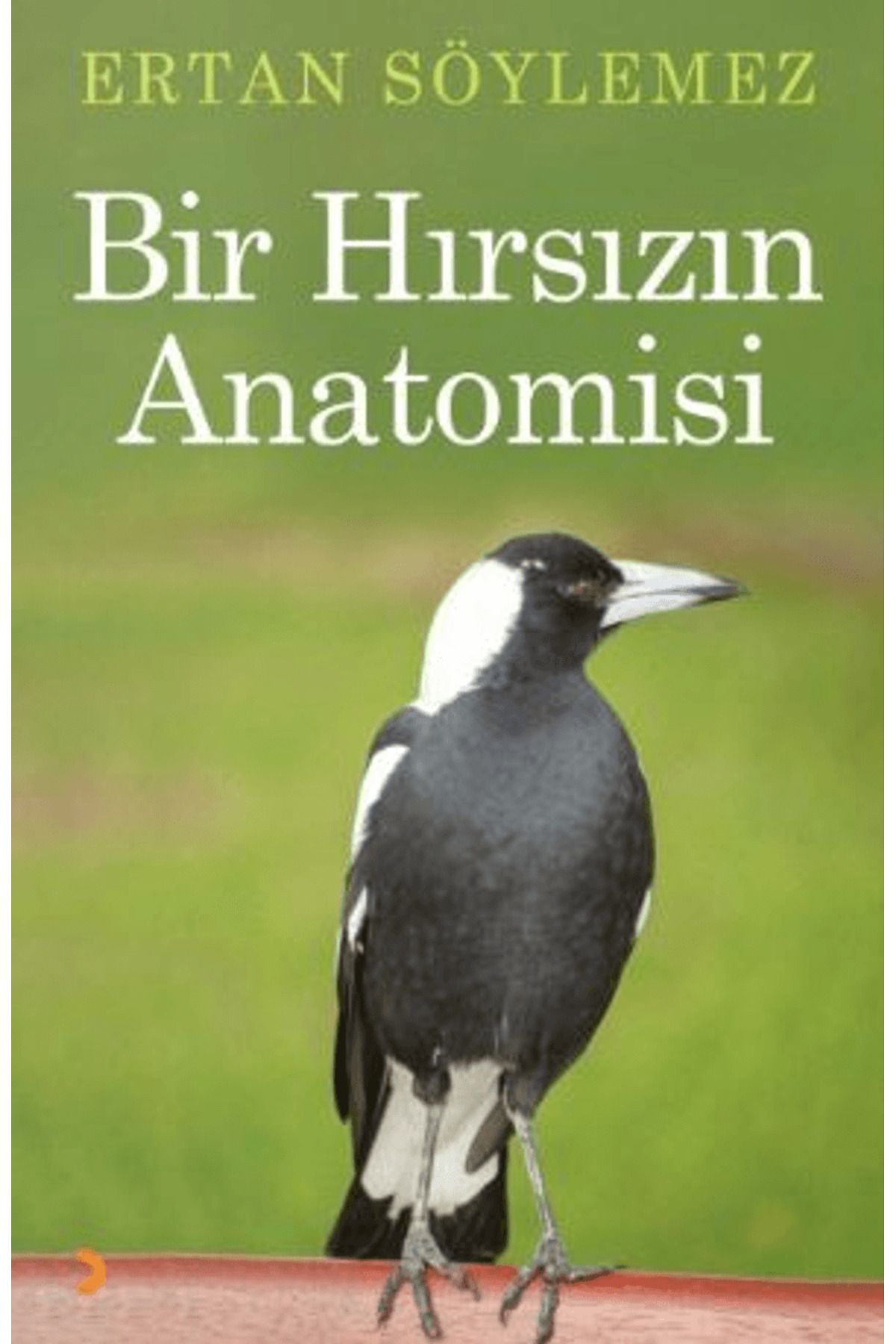 Cinius Yayınları Bir Hırsızın Anatomisi / Ertan Söylemez / Cinius Yayınları / 9786258041033