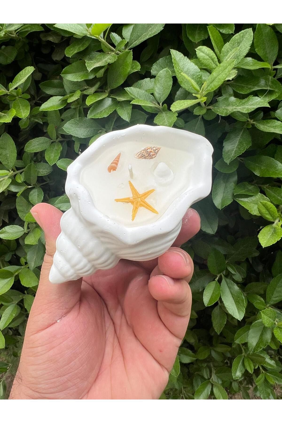 aralmini El Yapımı Denzi Kabuğu Takı Kutusu Mum Mumluk