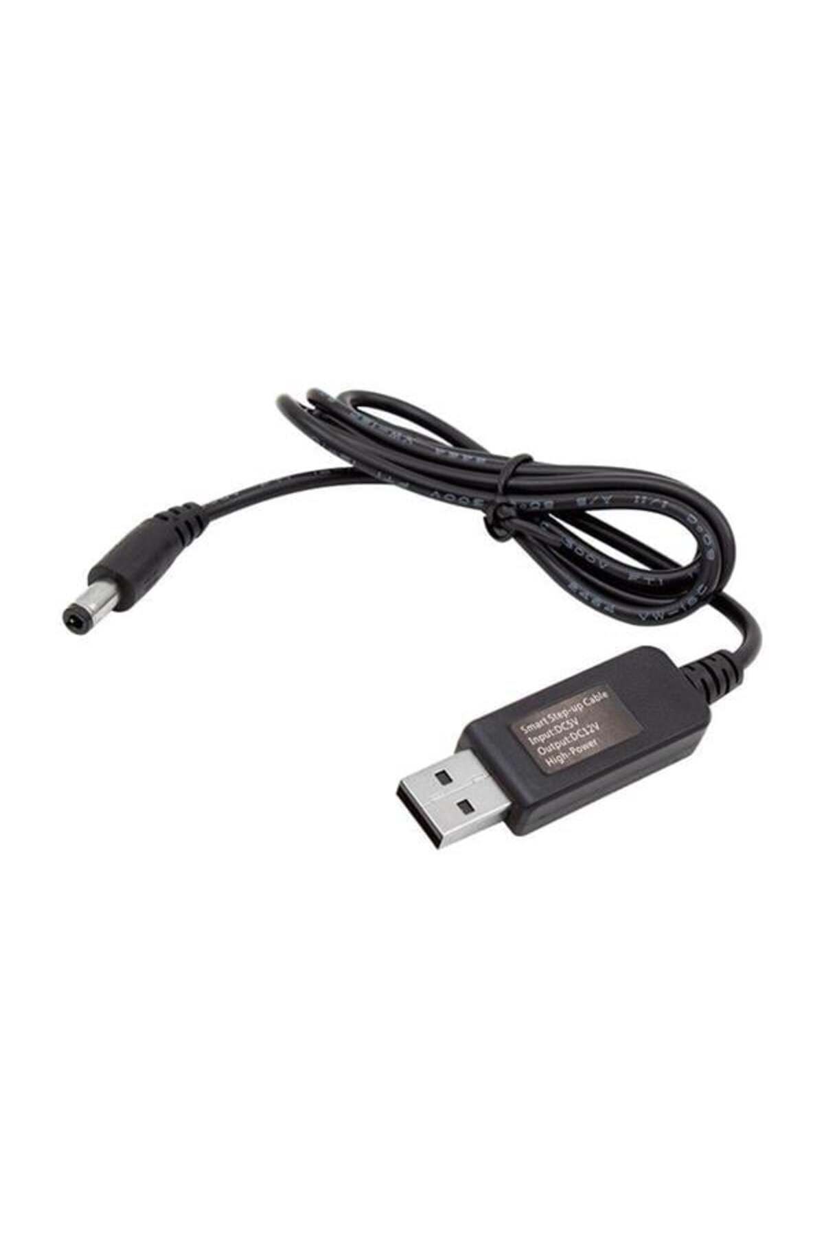 Roses Store Powermaster 5V-12V Usb To Dc 5.5*2.5Mm Kablo (12 Volt 1 Amper)
