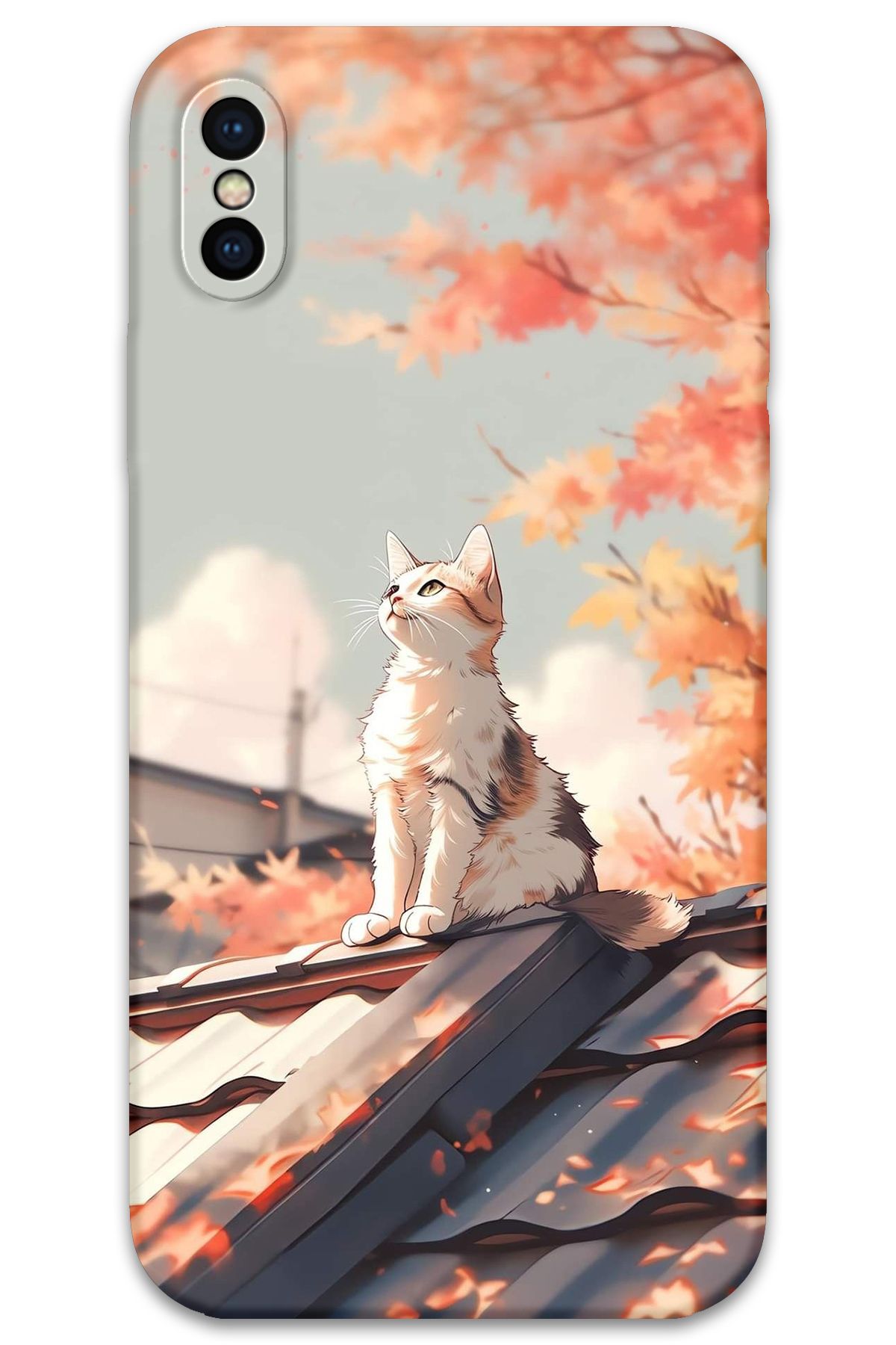 Gramaphone iPhone Xs Uyumlu Kedi Desenli Telefon Kılıfı + Ekran Koruyucu - 5784