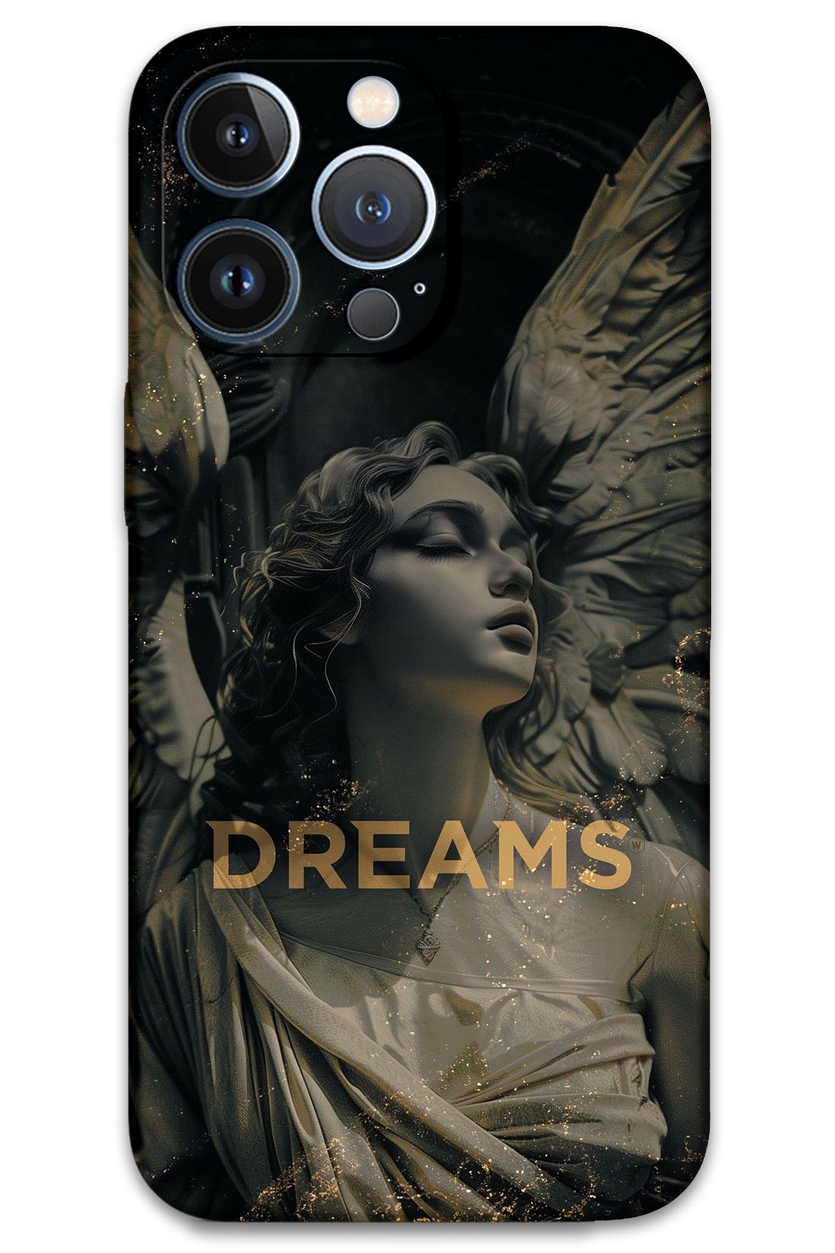 Gramaphone iPhone 13 Pro Uyumlu Retro Desenli Telefon Kılıfı + Ekran Koruyucu - 5832