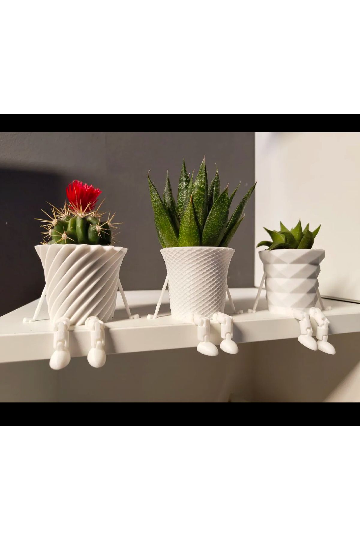 Wuun Store Mini Kaktüs/Sukulent Saksı Seti Beyaz (Kaktüsler dahil değildir)
