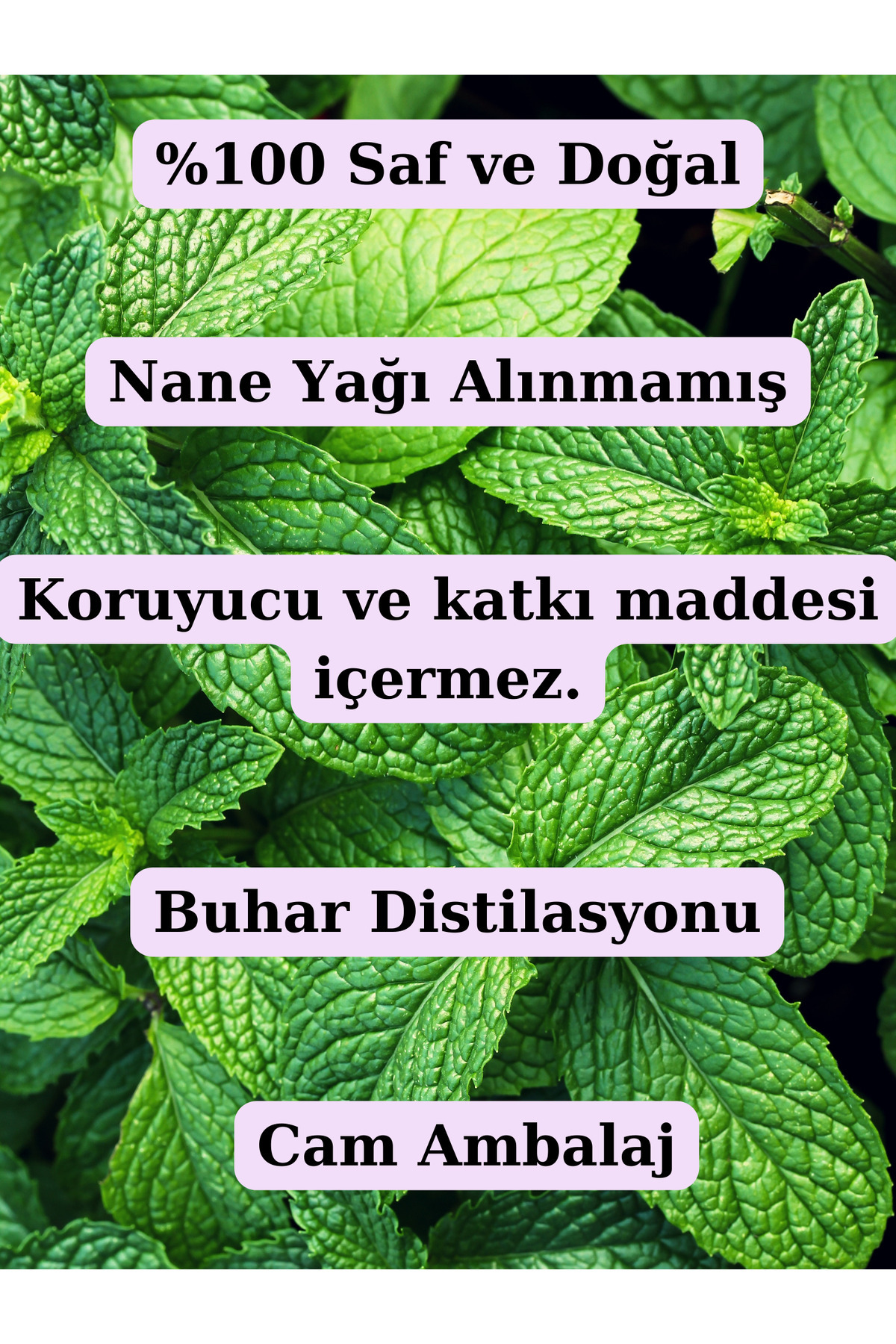 Saf Nane Hidrosolü 100 Ml - (nane Suyu) — nane1lihidrosol — تصویر 4 از 5