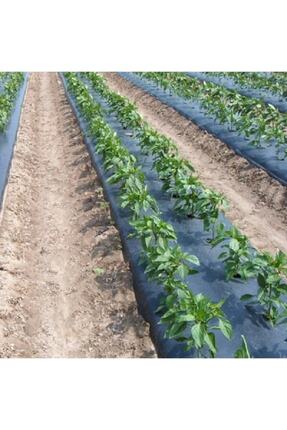 UĞURBATIN SERA SİSTEMLERİ Sebze Naylonu 1.20x15 Metre Domates Naylonu Siyah M...