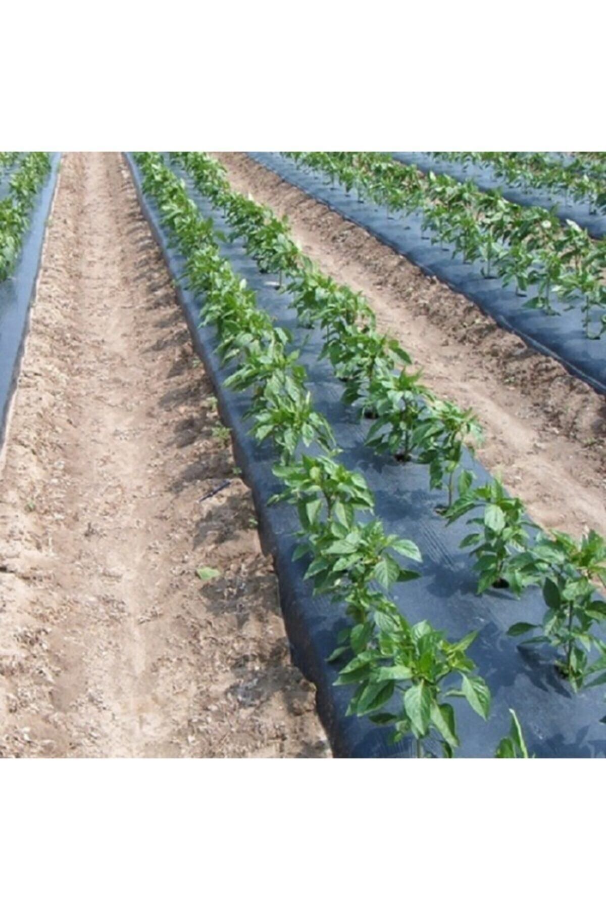 UĞURBATIN Sebze Naylonu 1.20x15 Metre Domates Naylonu Siyah Malç Naylonu