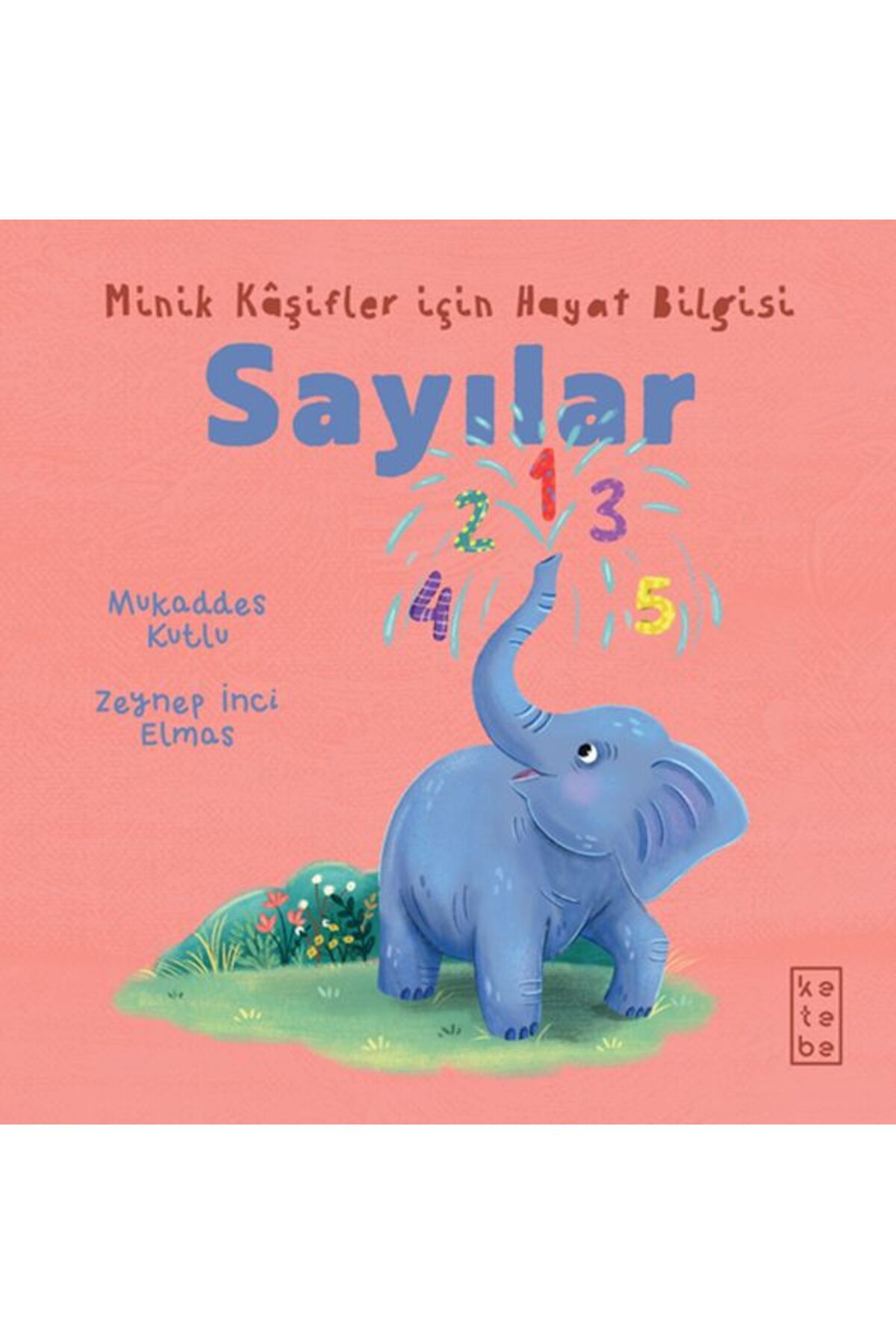 Ketebe Yayınları Minik Kşifler için Hayat Bilgisi Sayılar