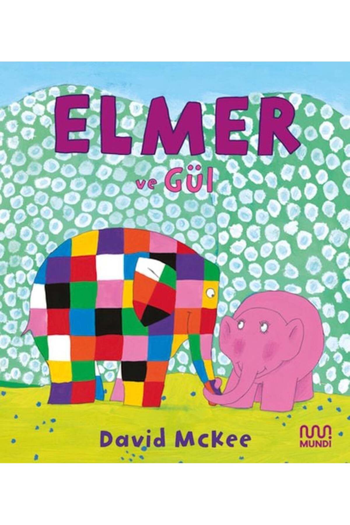 Destek Yayınları Elmer ve Gül