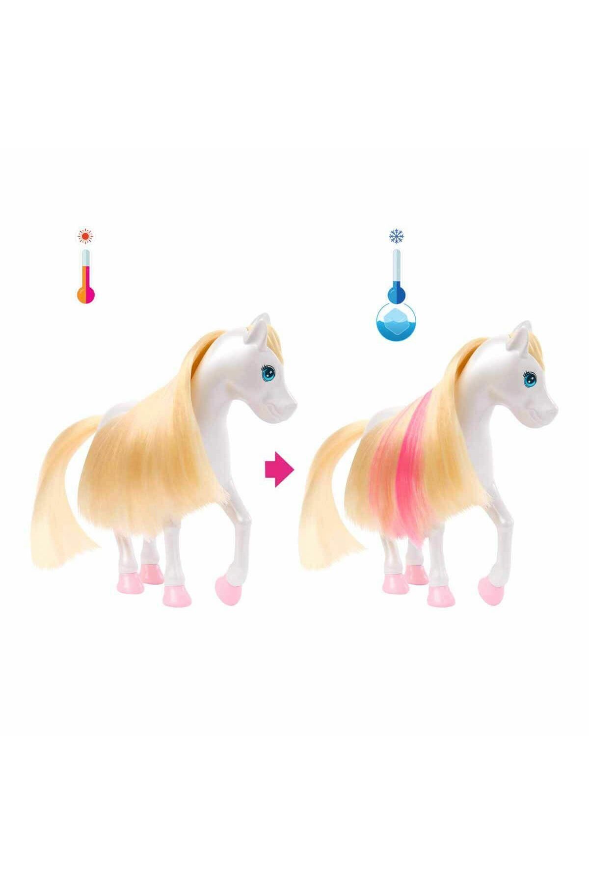 swilex HNT67 A Touch Of Magic ve Pegasus Oyun Seti