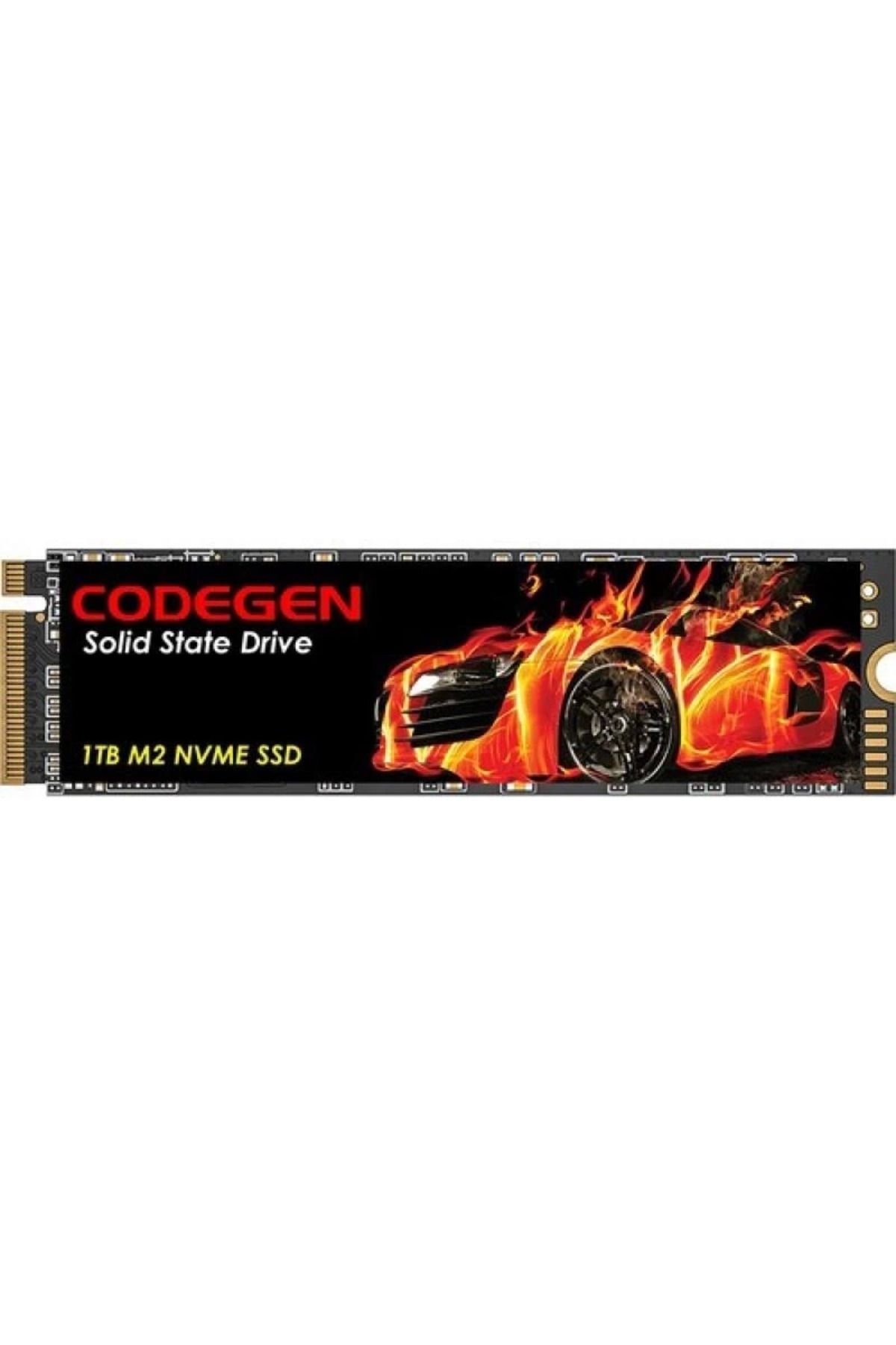 hayalimsah CODEGEN 1TB CDG-1TB-NVME 2100- 1700MB/s M2 PCIe NVMe Gen3 Disk