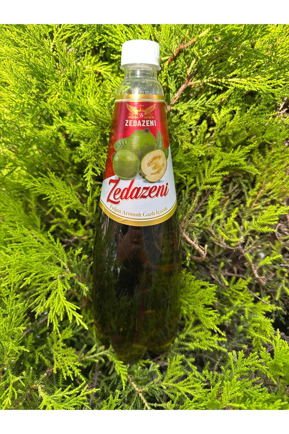 ZEDAZENİ Feijoa Aromalı Gürcistan Limonatası (1 Adet)-(1 Litre)
