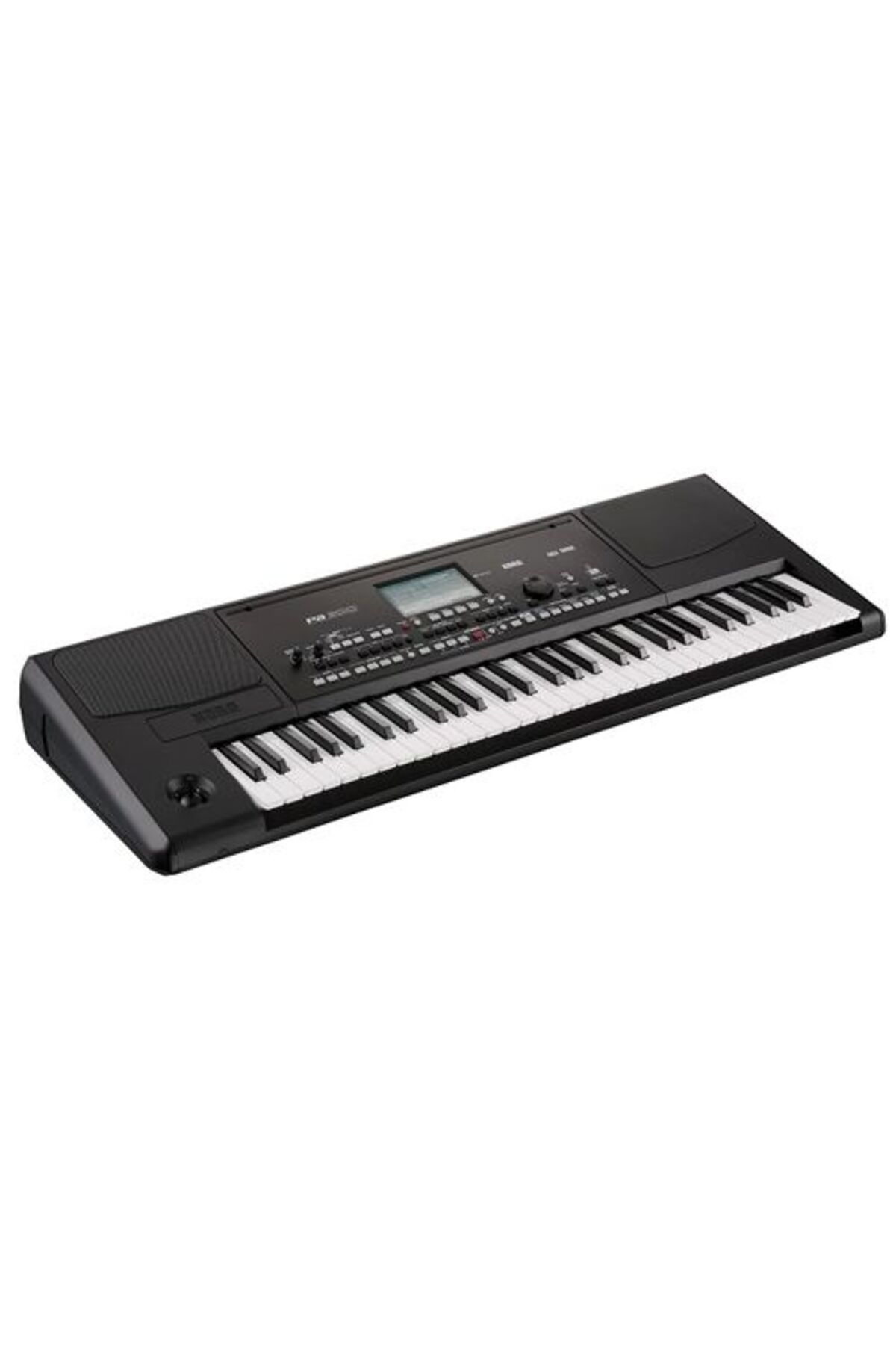 KORG PA300